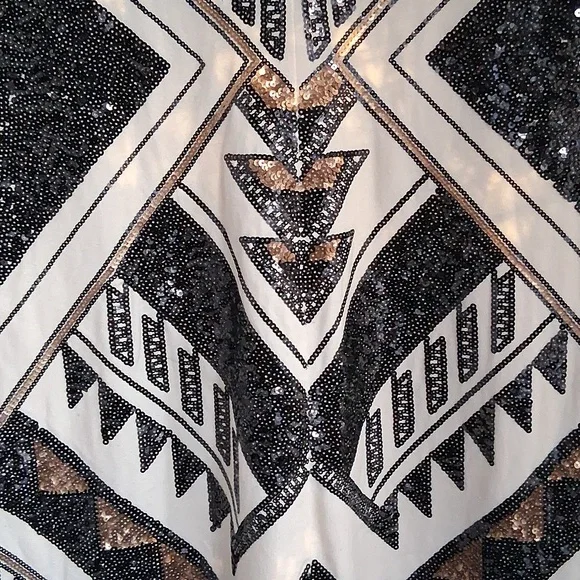Expresss Sequined Dress